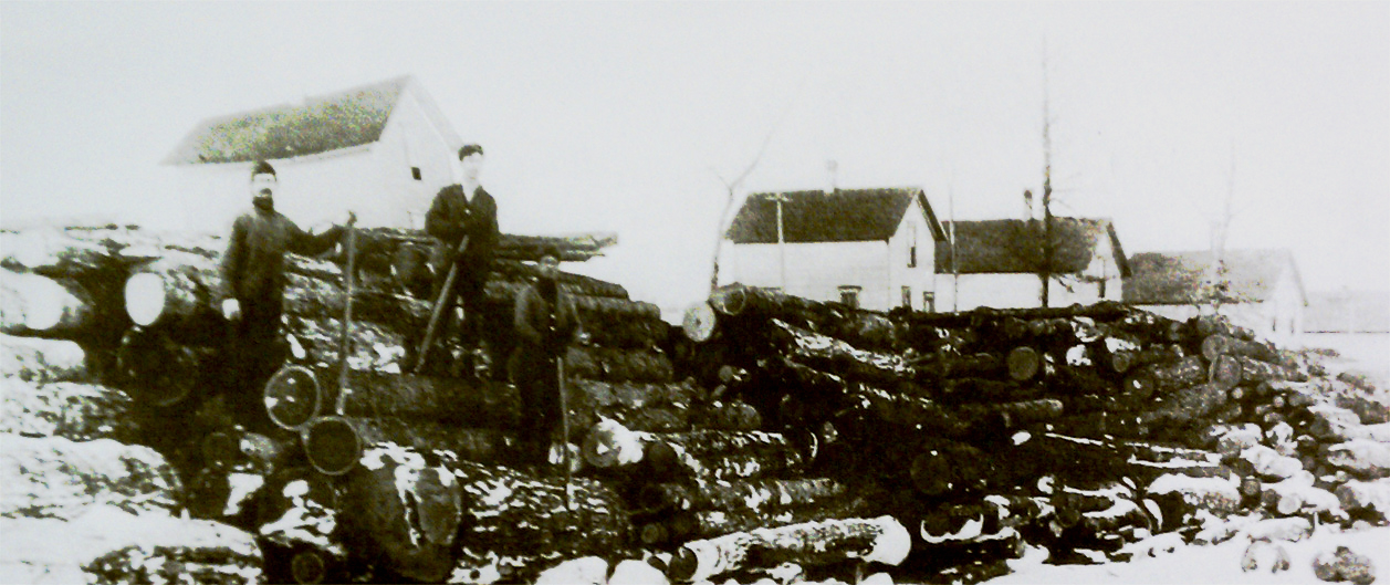 Logging along the South Shore of Herring Lake, 1907