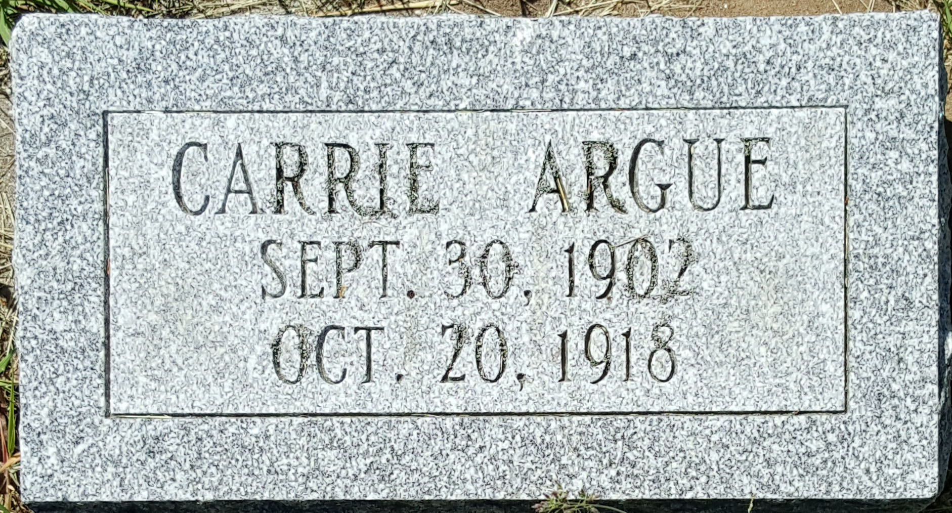 Carrie Argue's Marker