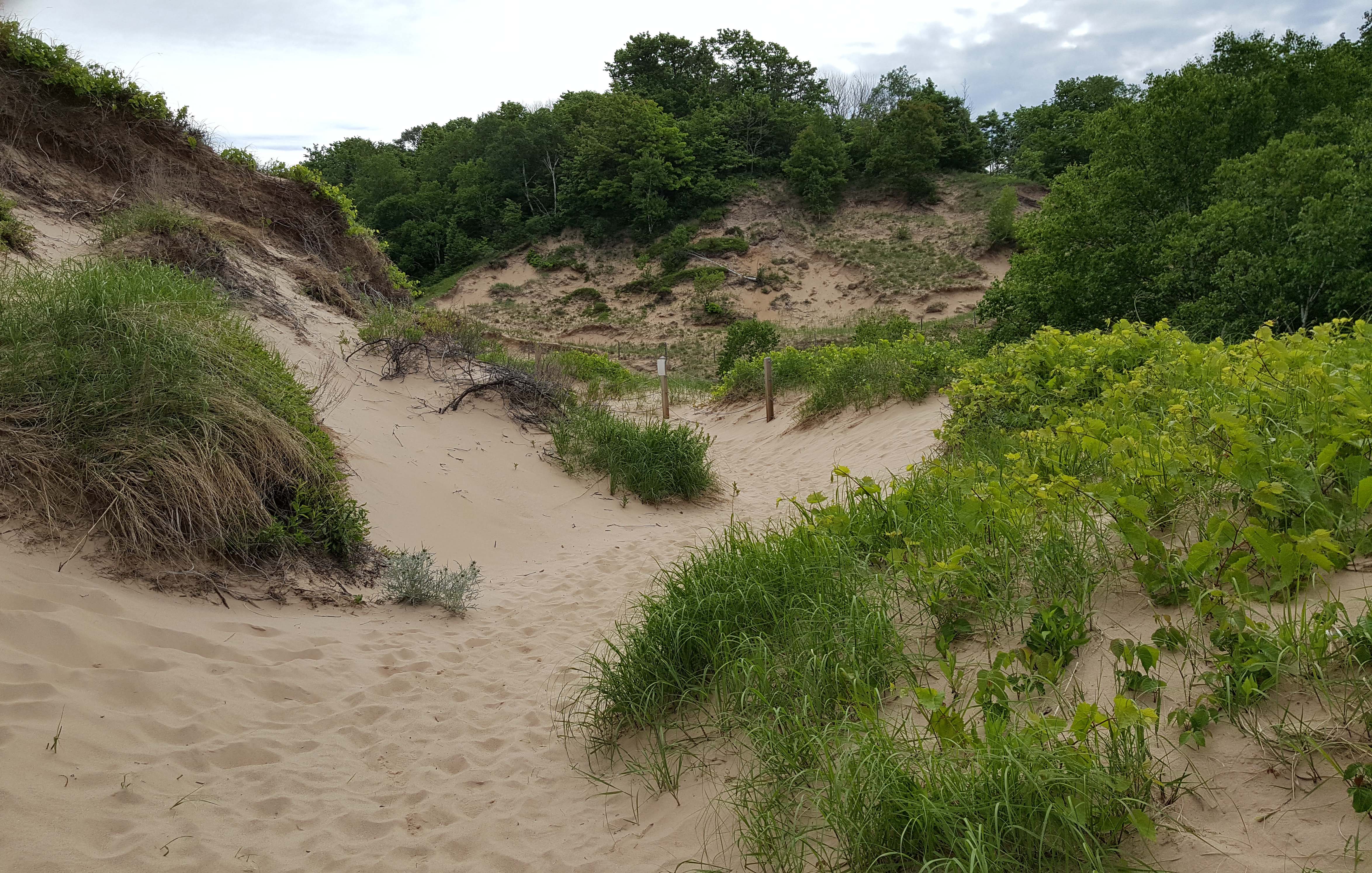 Paths through the Ever-Changing Dunes